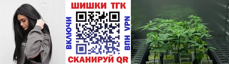 сколько стоит  Озёры  omg ссылки  Шишки марихуана SATIVA & INDICA 